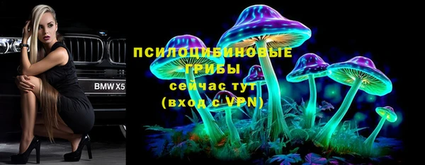 хмурый Горно-Алтайск