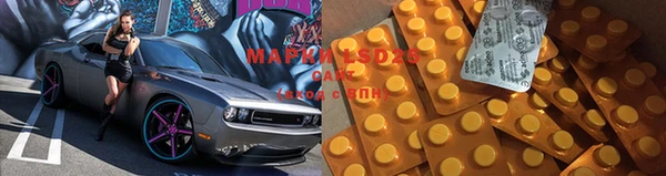 хмурый Горно-Алтайск