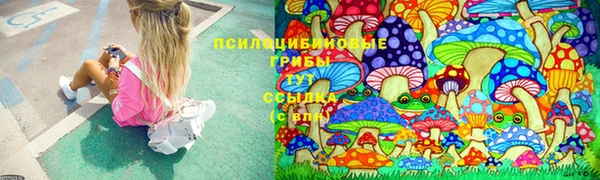 mix Горняк