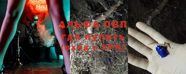 хмурый Горно-Алтайск