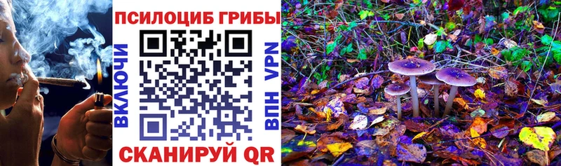 Галлюциногенные грибы Psilocybine cubensis  Купить закладки  Шатура 